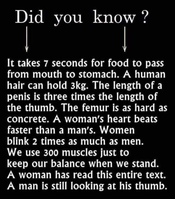 1763423462323.jpeg