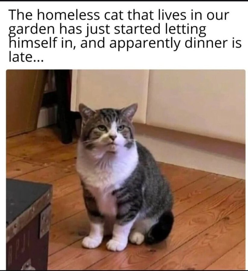 1763907287315.jpeg