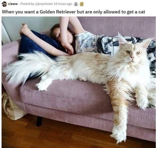 1764427072611.jpeg