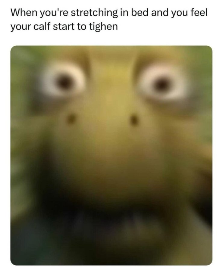 1764758579719.jpeg