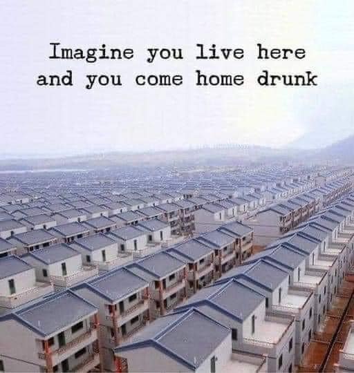 1764955451355.jpeg