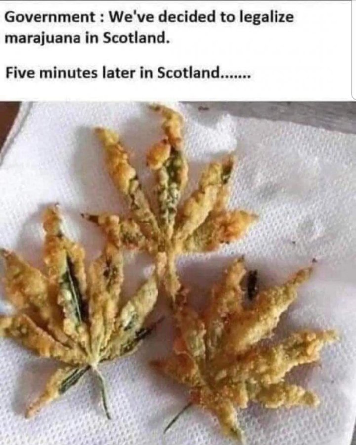 1765028605308.jpeg