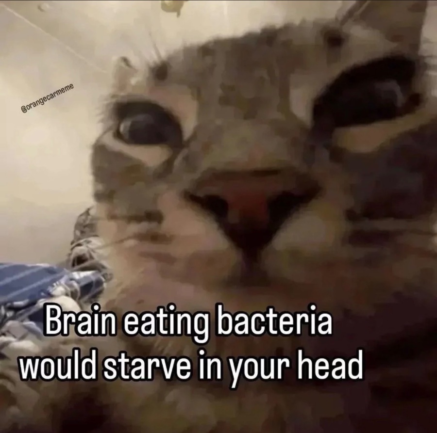 1765751398148.jpeg