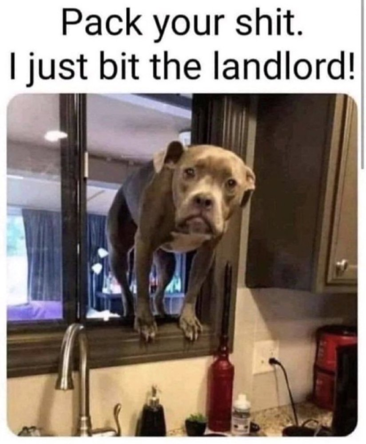 1766086569942.png