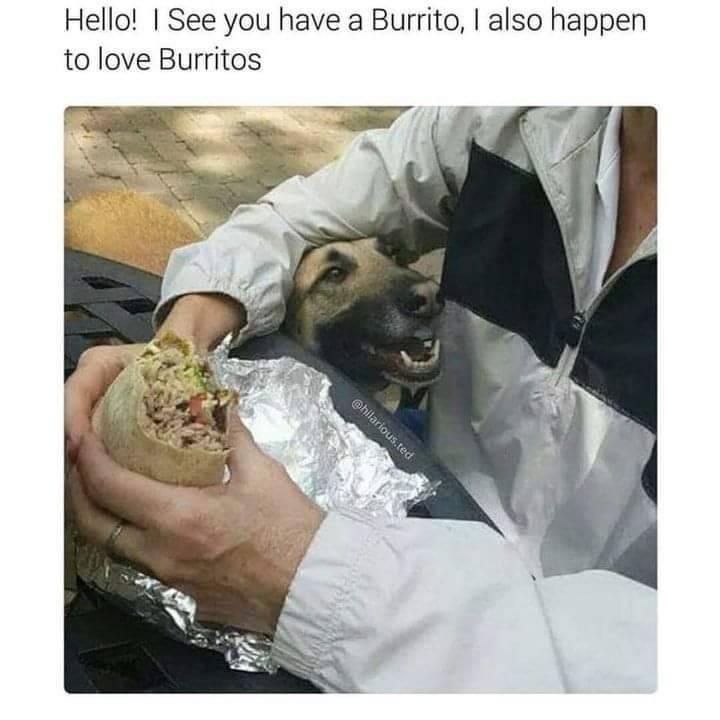 1766254392077.jpeg