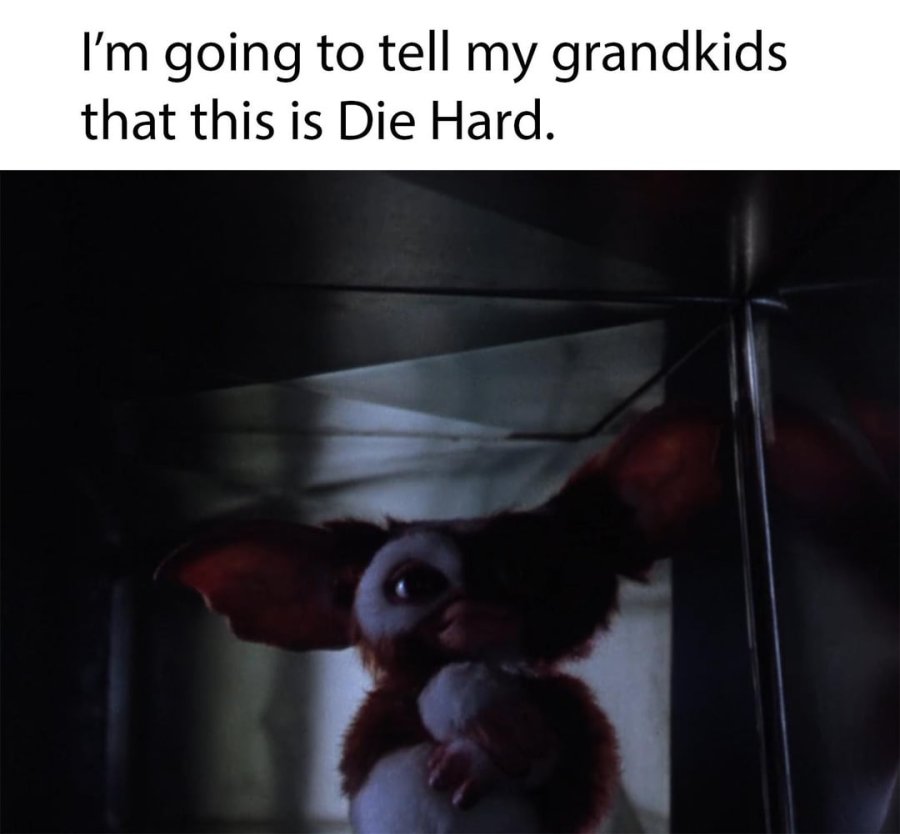 1766266054275.jpeg