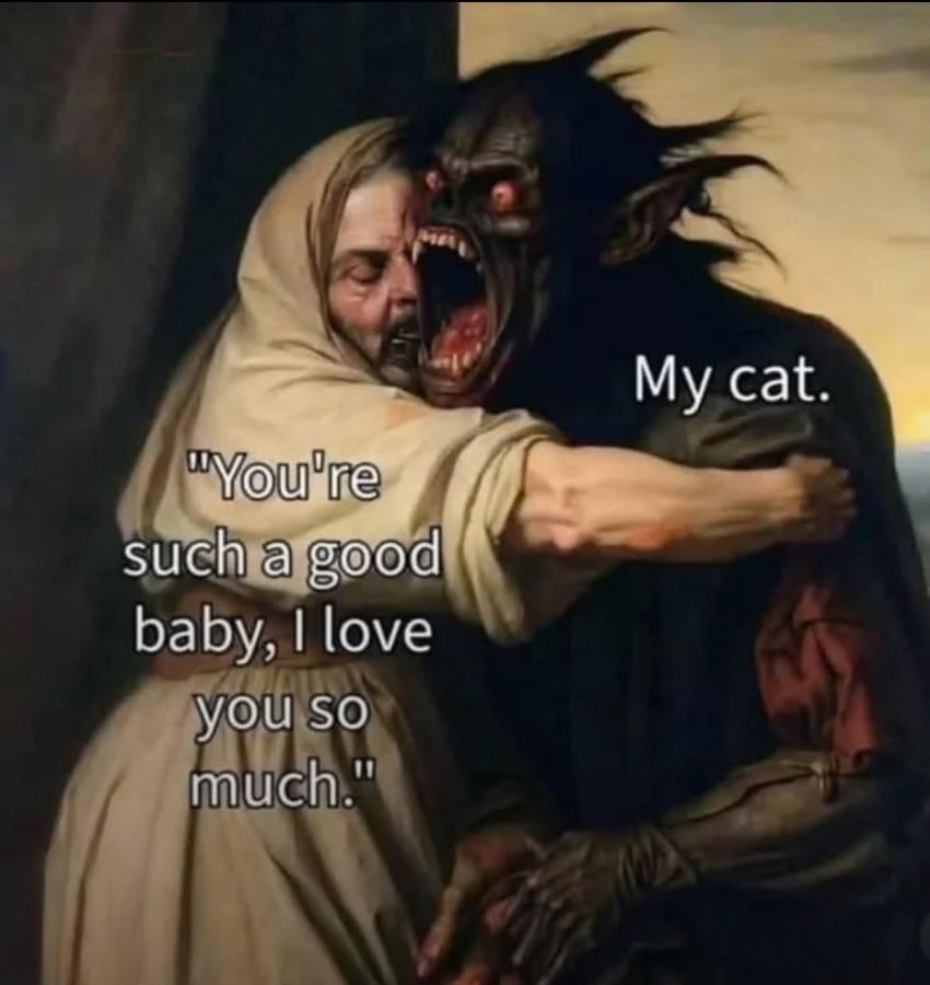 1766959323614.jpeg
