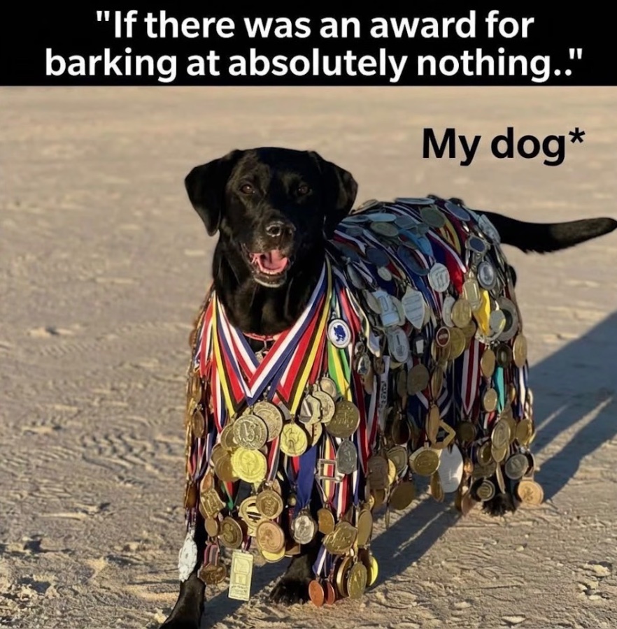 1767098716502.jpeg