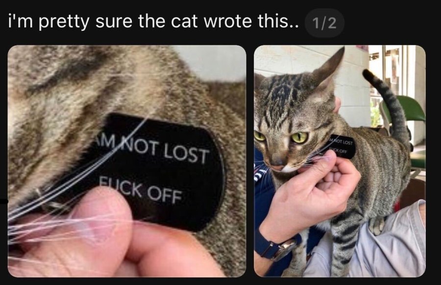 1767653766200.jpeg