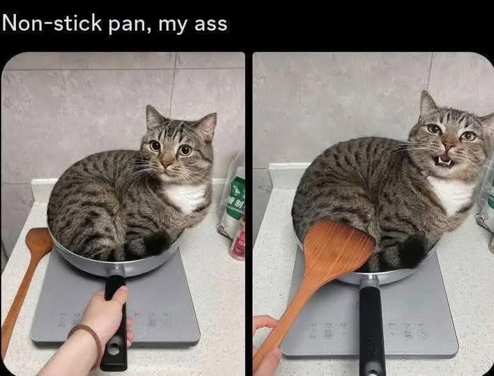 1767653827552.jpeg