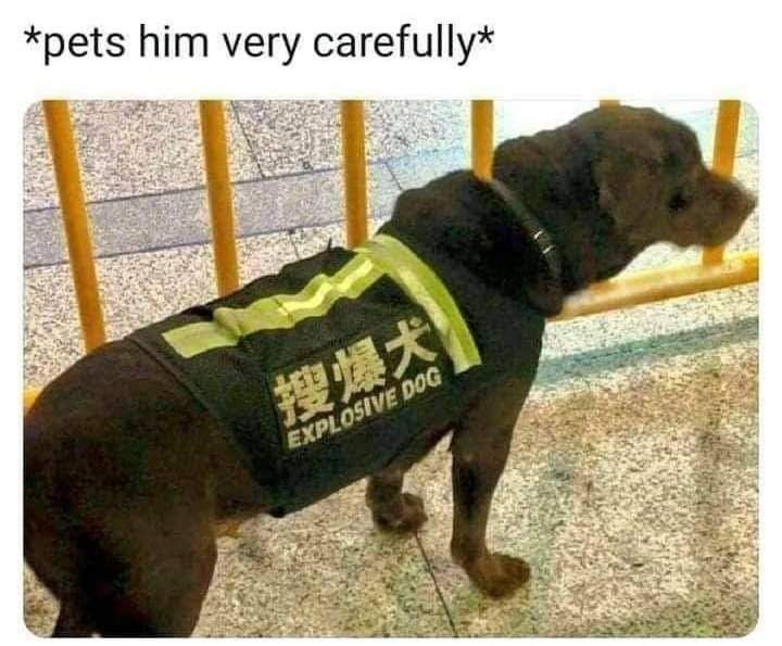 1767955621317.jpeg