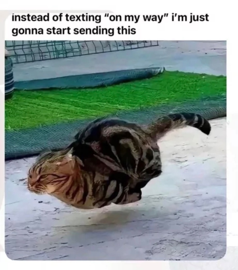1768141648906.jpeg
