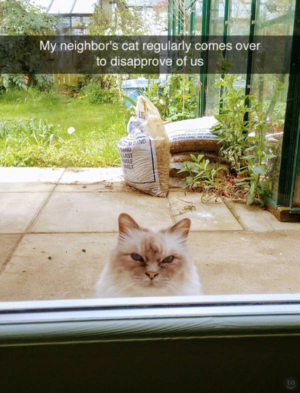 1768394897629.jpeg