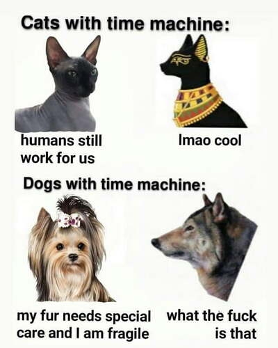 1768675534568.jpeg