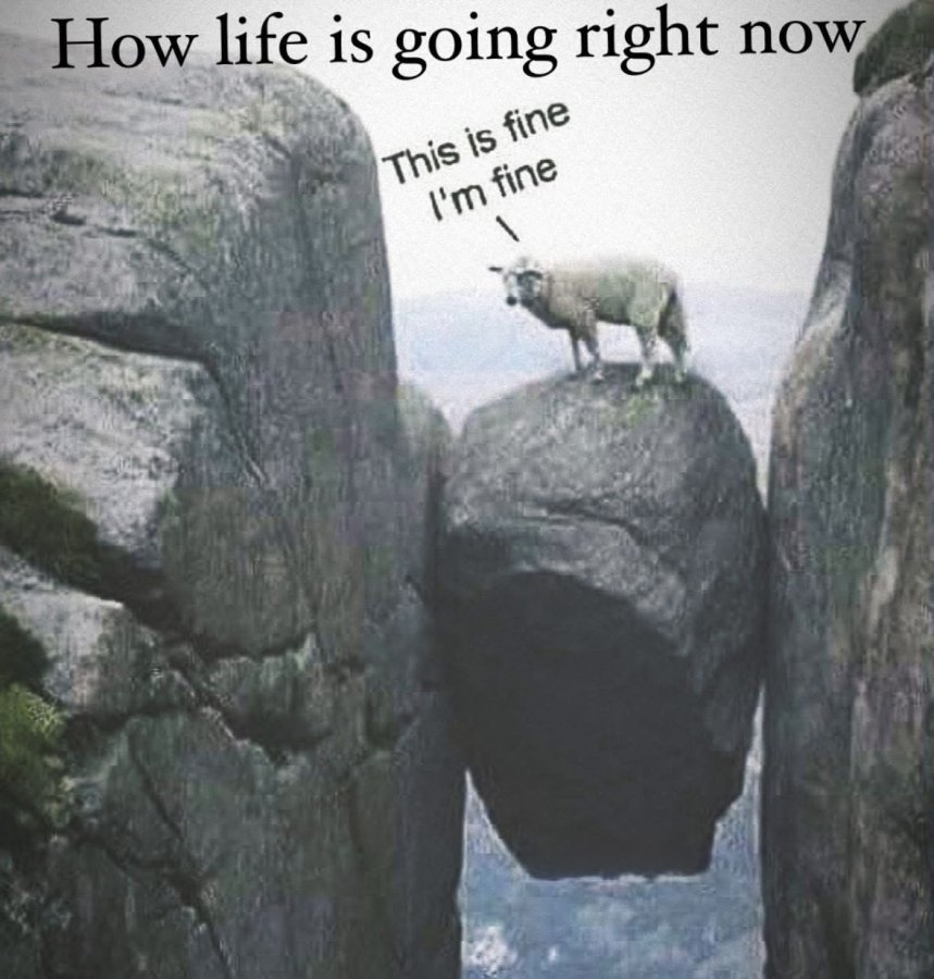 1768858320252.jpeg