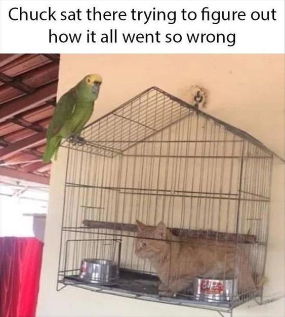 1769295549086.jpeg