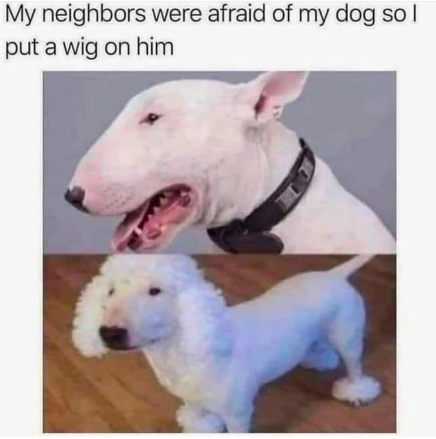 1769347571345.jpeg