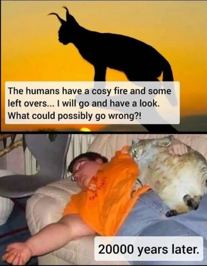 1770063658036.jpeg