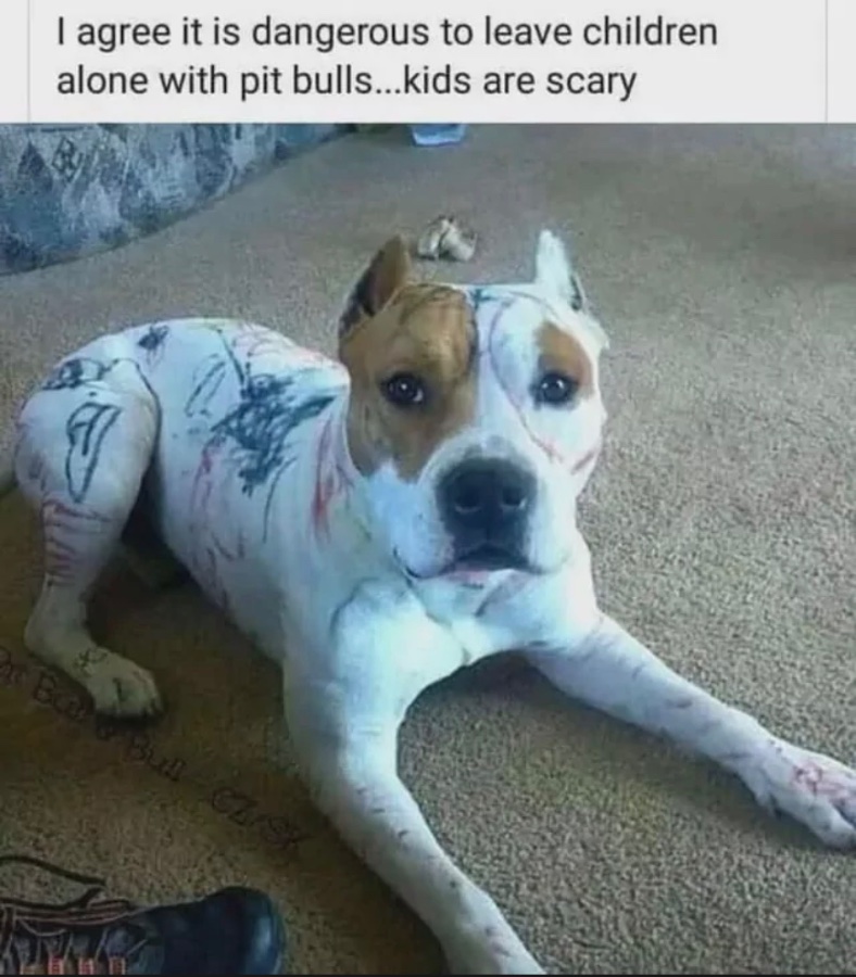 1770651731747.jpeg