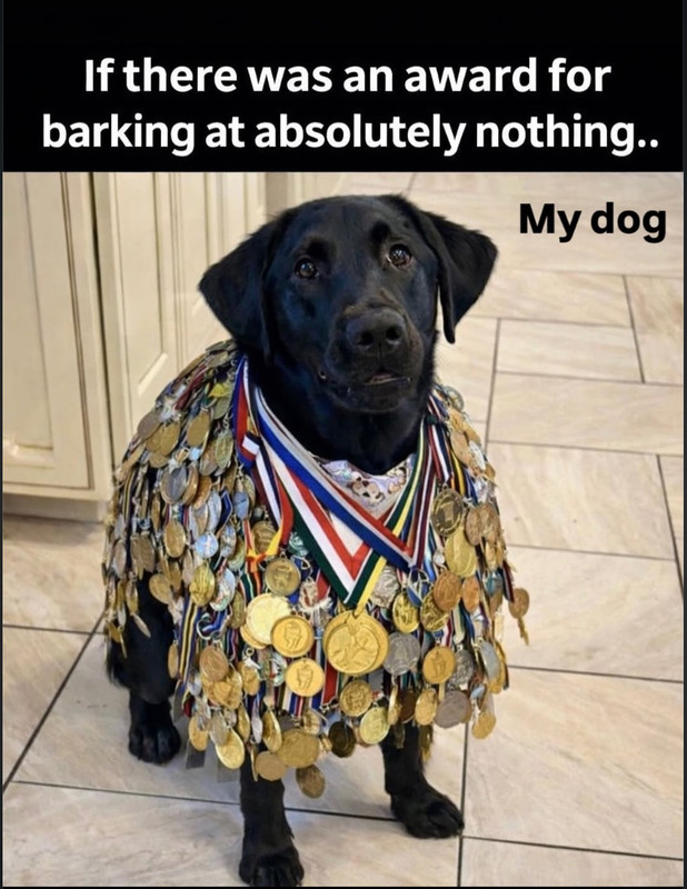 1770674804177.jpeg
