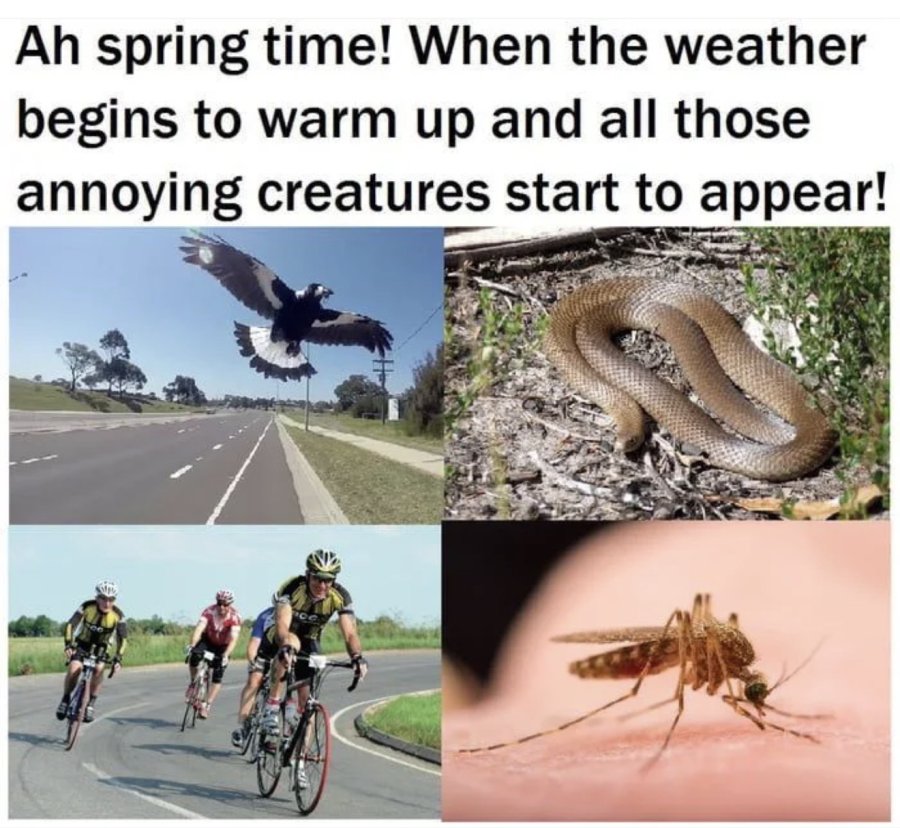 1772401742159.jpeg