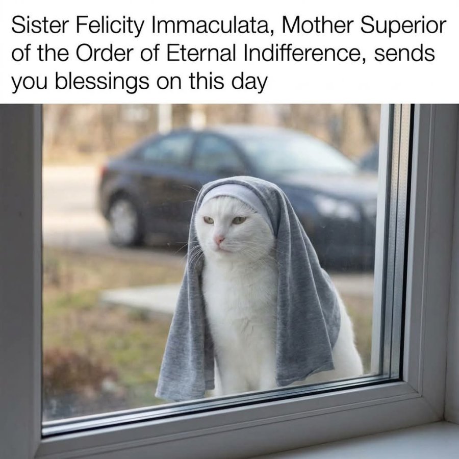 1772623492659.jpeg