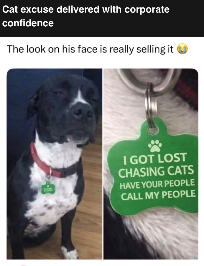 1772724291397.jpeg