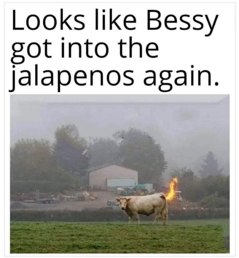 1772748995745.jpeg