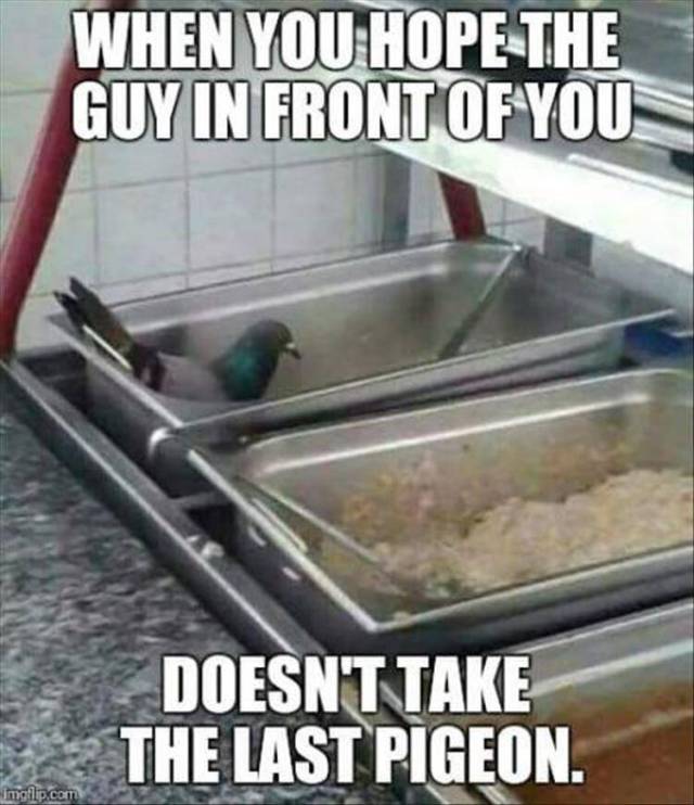 1772898643433.jpeg