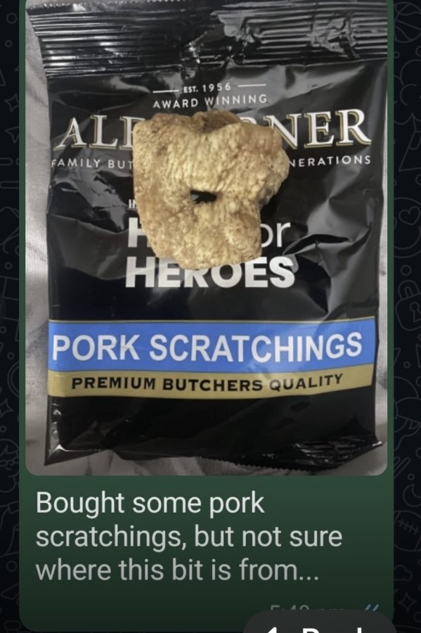1773143244405.jpeg