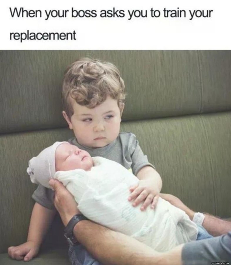 1773405498789.jpeg