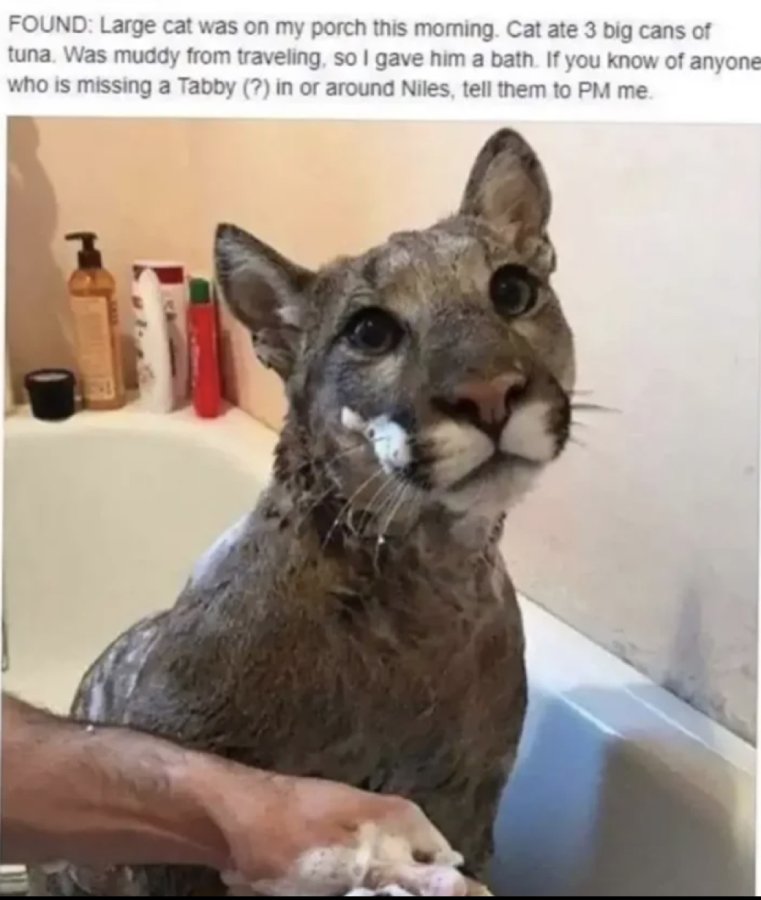 1773924363072.jpeg