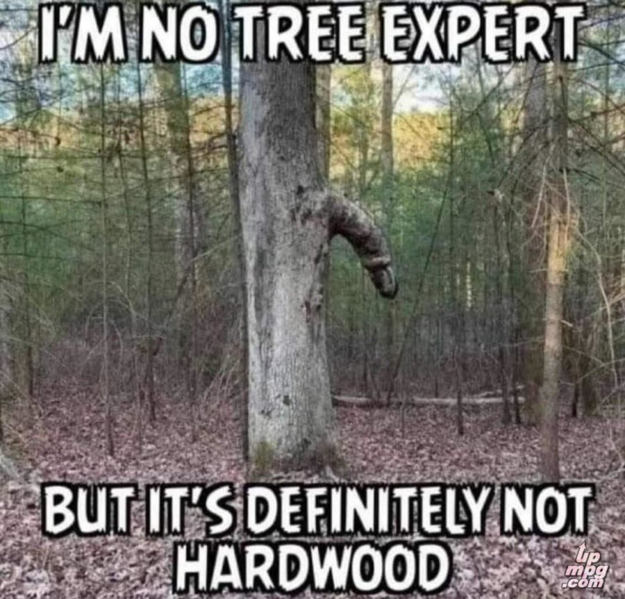 1774378499511.jpeg