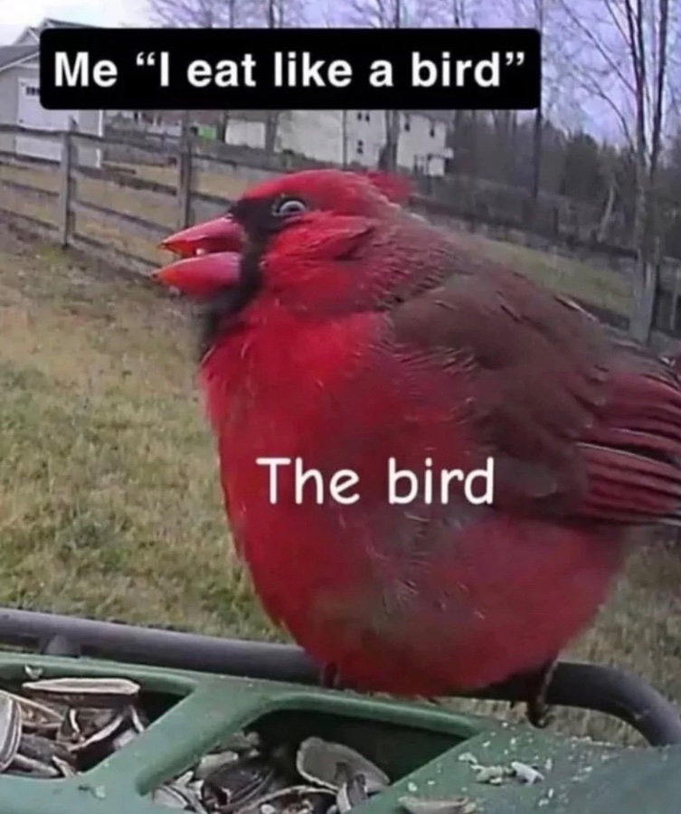 1774393028587.jpeg