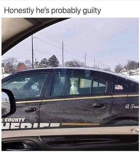 1774989088040.jpeg