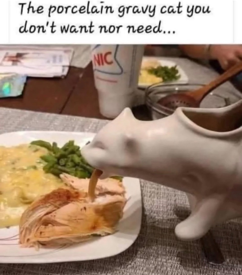 1775322725527.jpeg