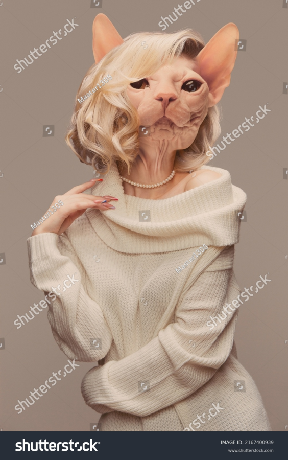 1775697479533.png