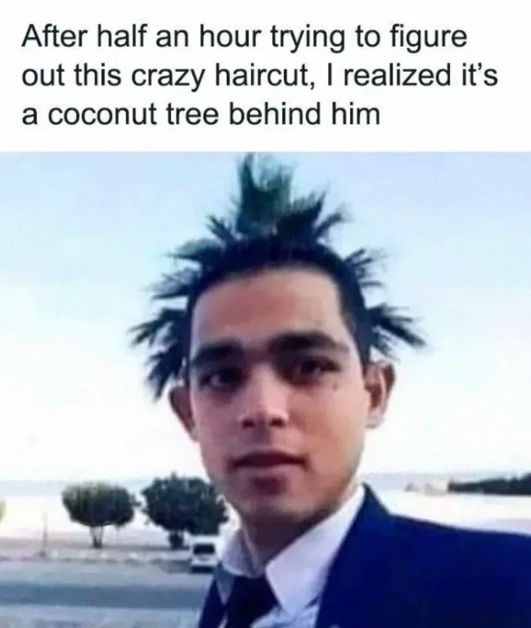 1776020637221.jpeg