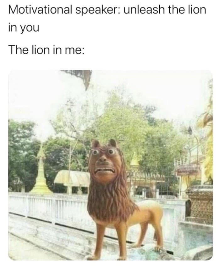 1776972304175.jpeg