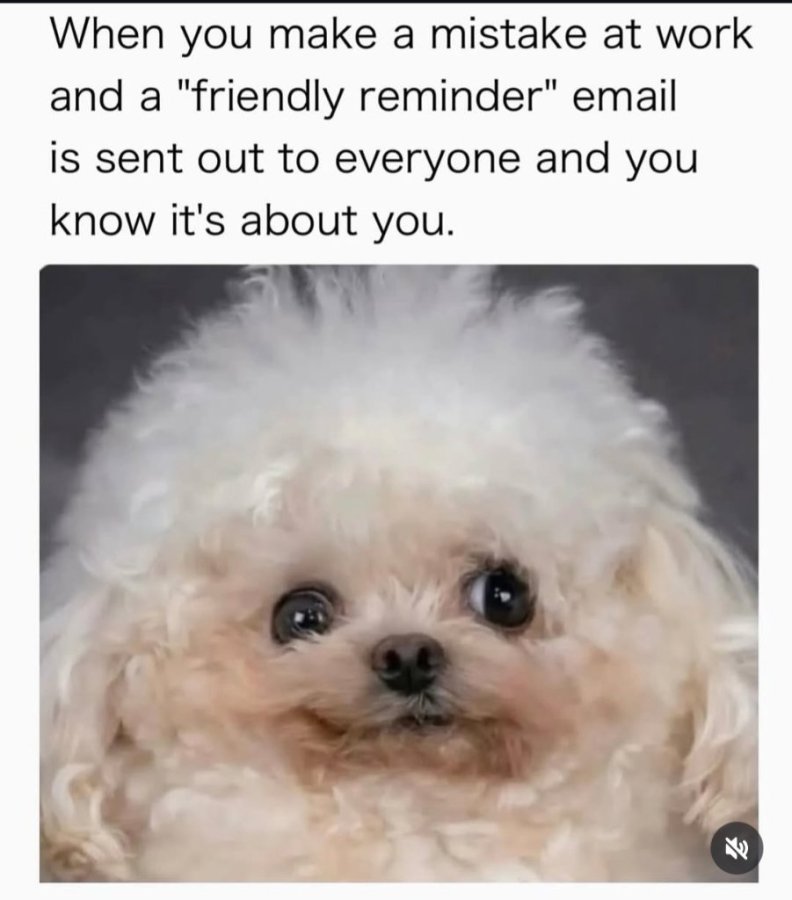 1777308896462.jpeg