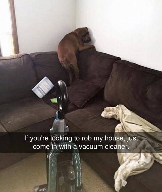 1779309958020.jpeg
