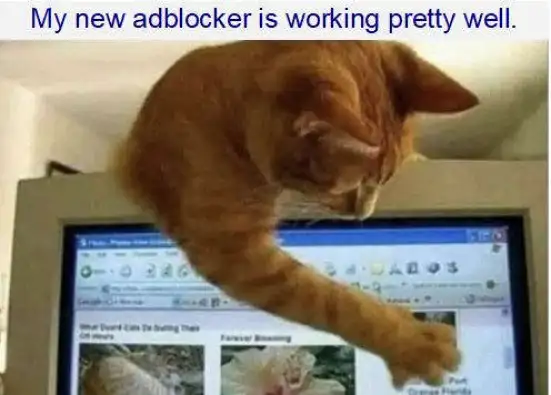 1779979521850.png
