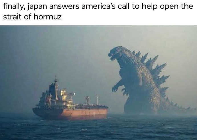 1781011934502.jpeg