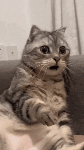 1781245650507.gif