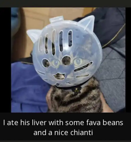 1781521297663.png