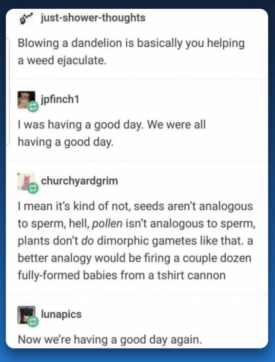1781525322586.png