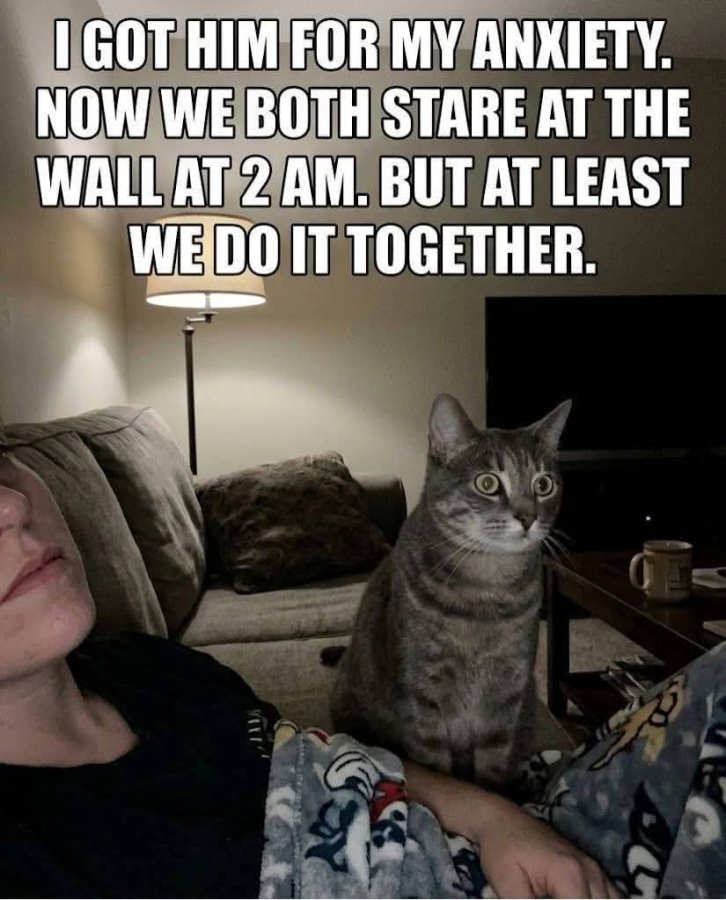 1781643685728.jpeg