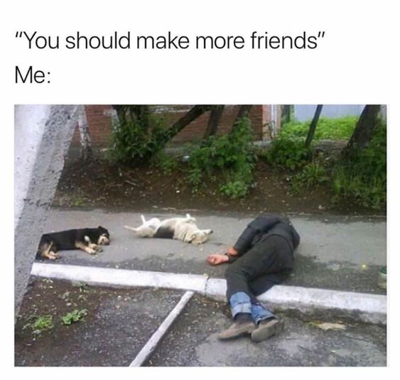 1781715873531.jpeg