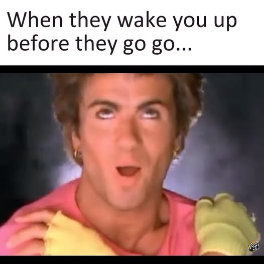1781865579497.png