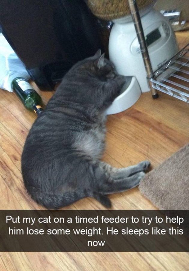 1782124433136.jpeg